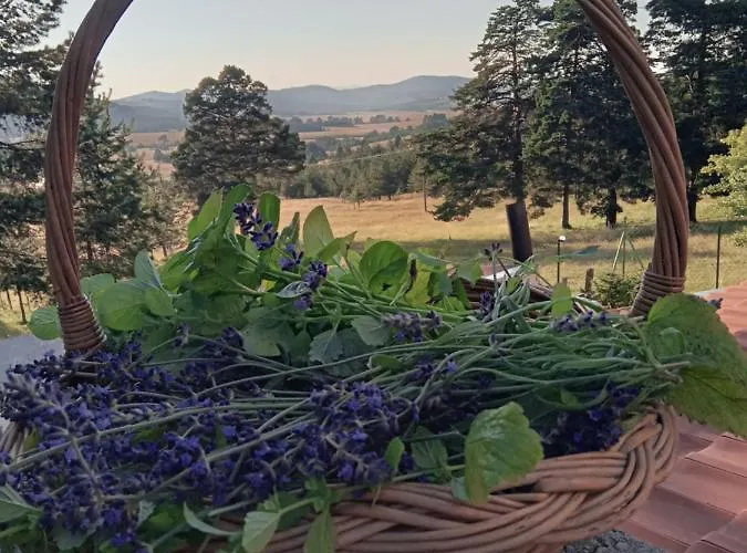 Ispod Duge Lana Appartamento *